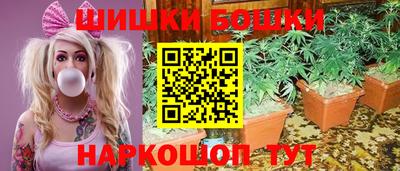 ГАЛЛЮЦИНОГЕННЫЕ ГРИБЫ Пугачёв