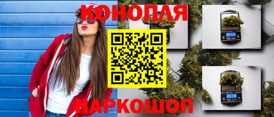 ГАЛЛЮЦИНОГЕННЫЕ ГРИБЫ Пугачёв
