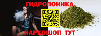 ГАЛЛЮЦИНОГЕННЫЕ ГРИБЫ Пугачёв