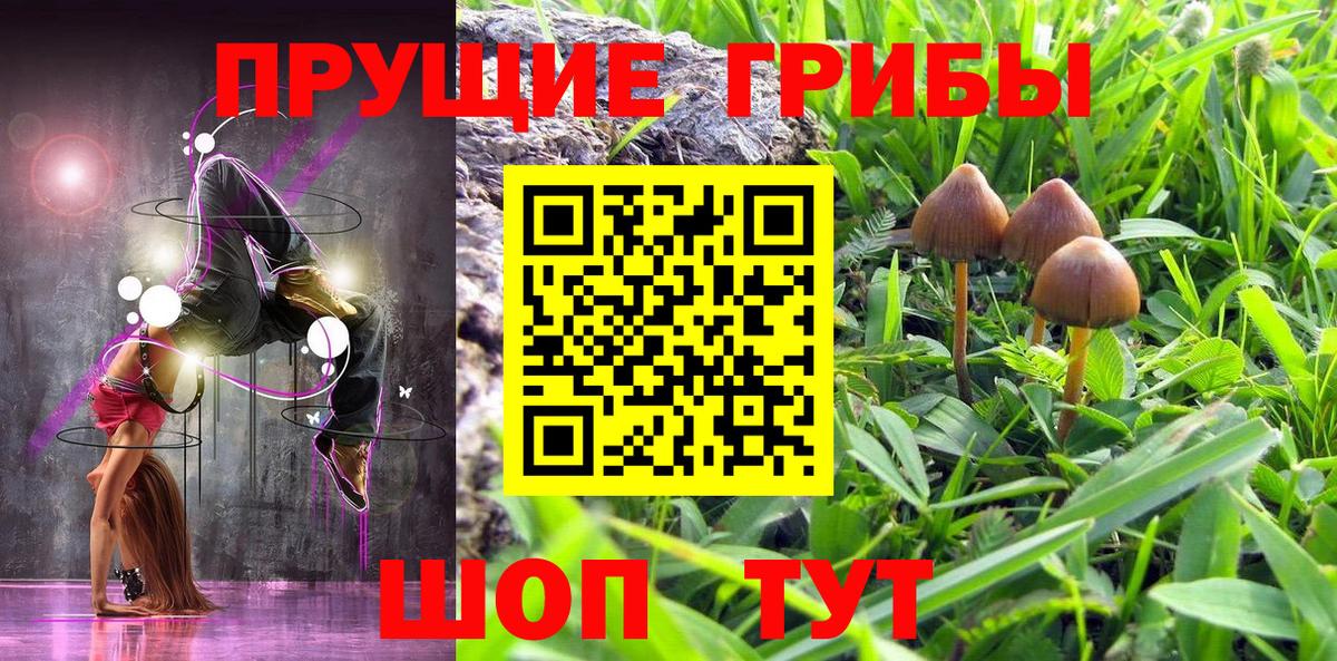 Саяногорск  Псилоцибиновые грибы Cubensis  Вход с VPN 